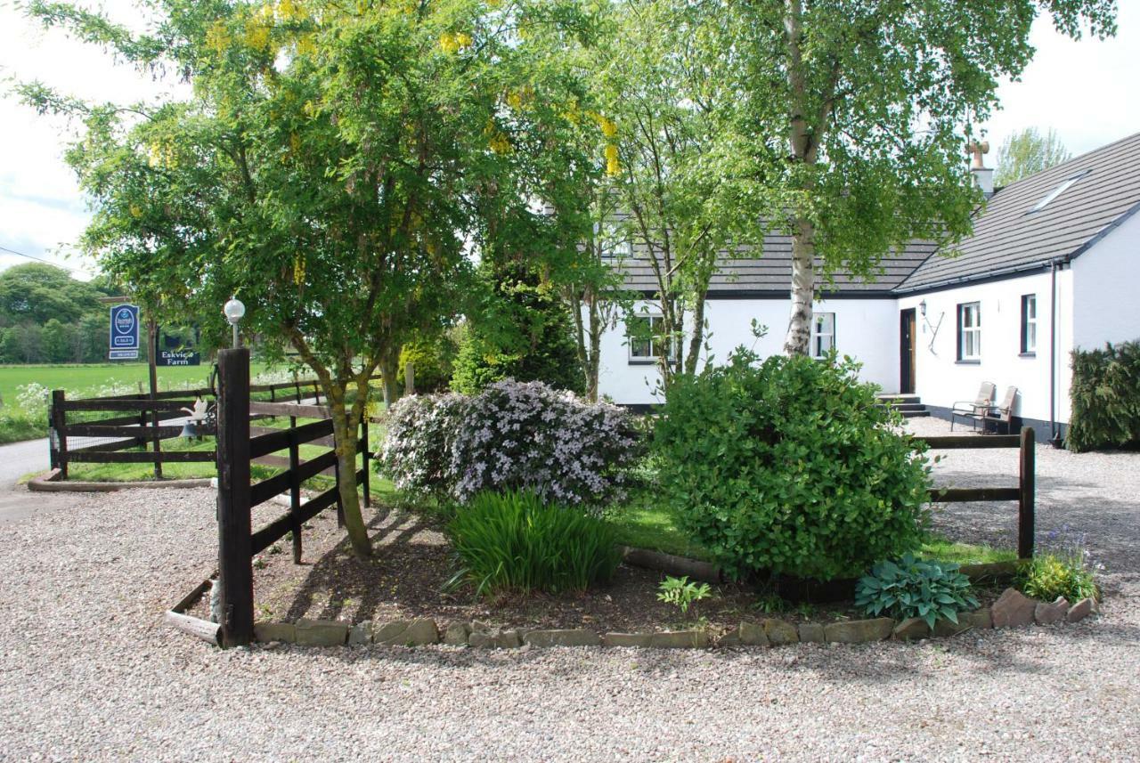 Eskview Farm Bed & Breakfast Montrose Eksteriør bilde