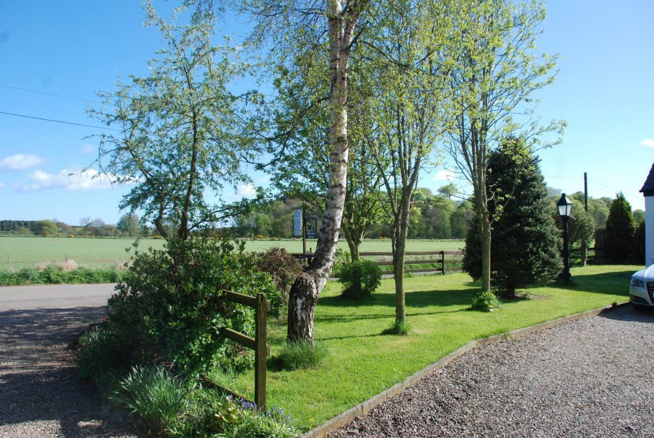 Eskview Farm Bed & Breakfast Montrose Eksteriør bilde